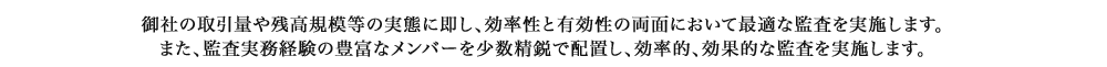 御社の取引量や残高規模等の実態に即し、効率性と有効性の両面において最適な監査を実施します。また、監査実務経験の豊富なメンバーを少数精鋭で配置し、効率的、効果的な監査を実施します。